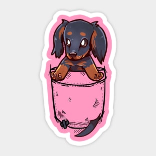 Pocket Cute Dachshund Dog Sticker